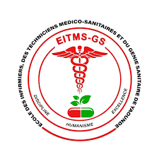 EITMS-GS Logo